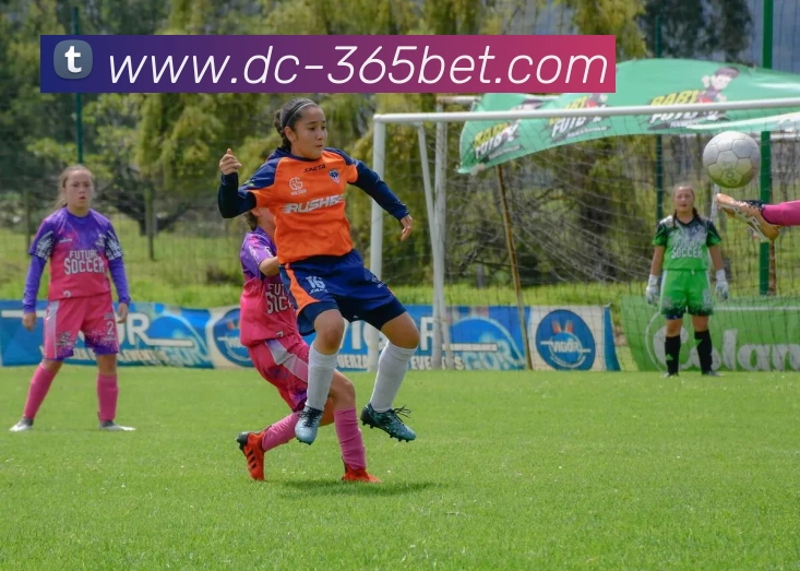 365bet平台生态图